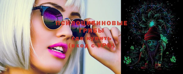метадон Ельня