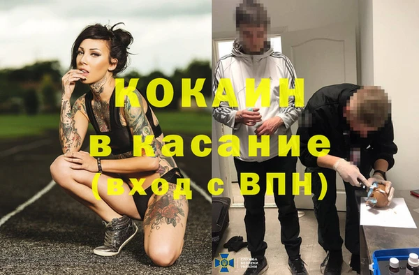 метадон Ельня