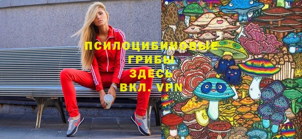 метадон Ельня